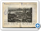 guerra